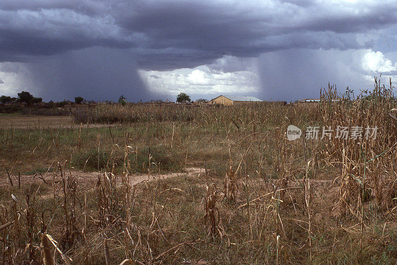 在非洲布基纳法索Bahn Yatenga附近的萨赫勒地区，在收获前的旱季田地上有零星的降雨